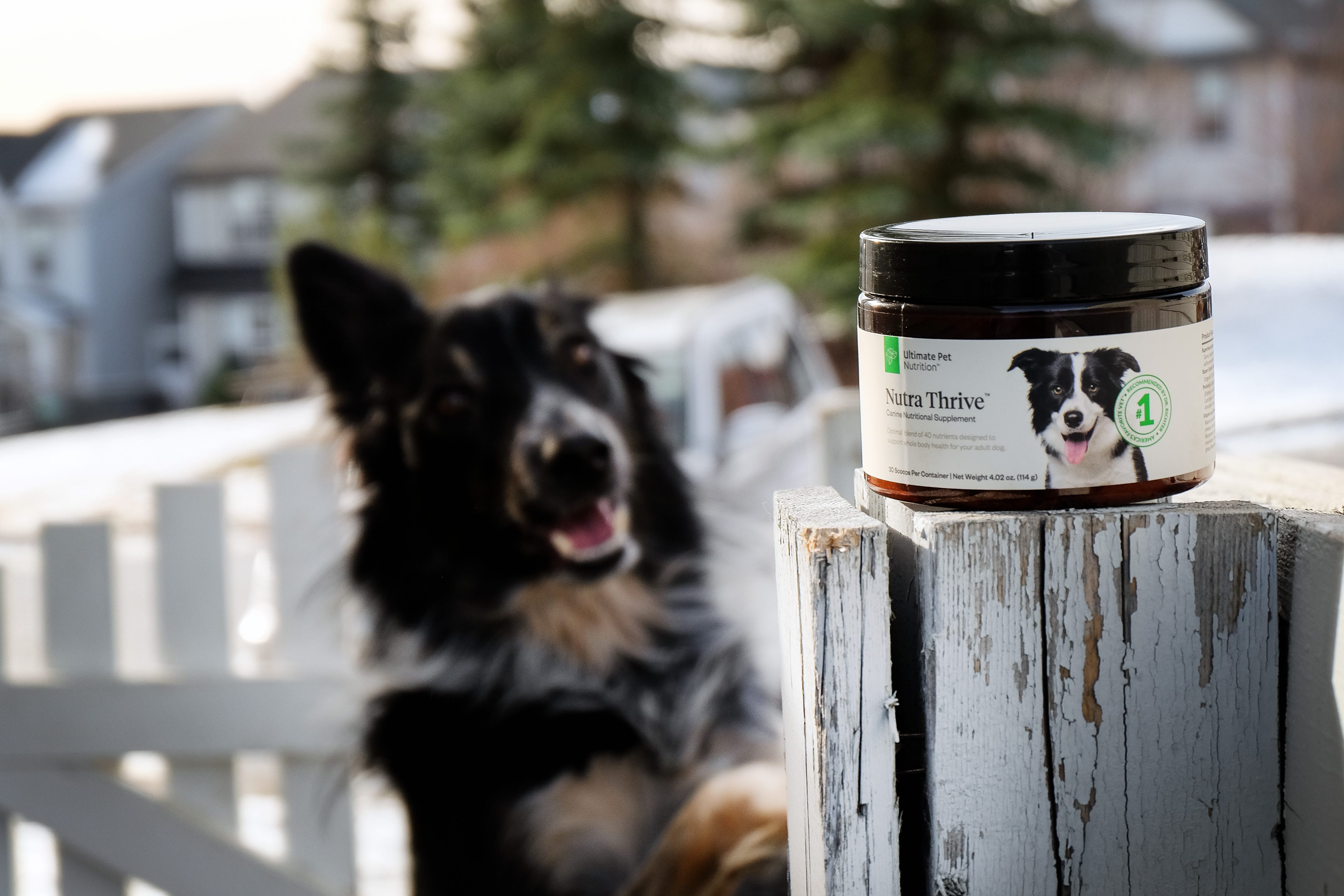 Nutra Thrive Ultimate Pet Nutrition