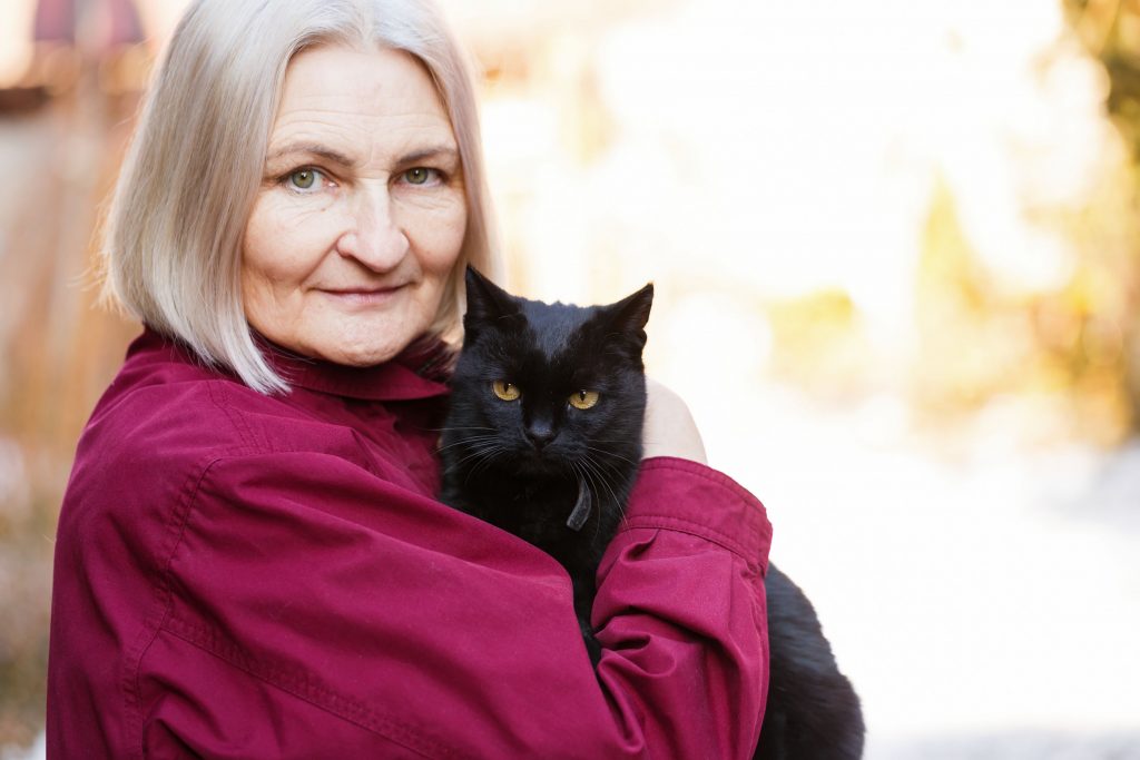 Fostering a Cat Is it Right for You? Ultimate Pet Nutrition