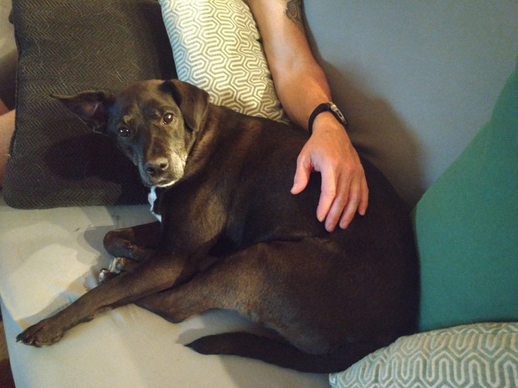 ultimate pet nutrition reviews