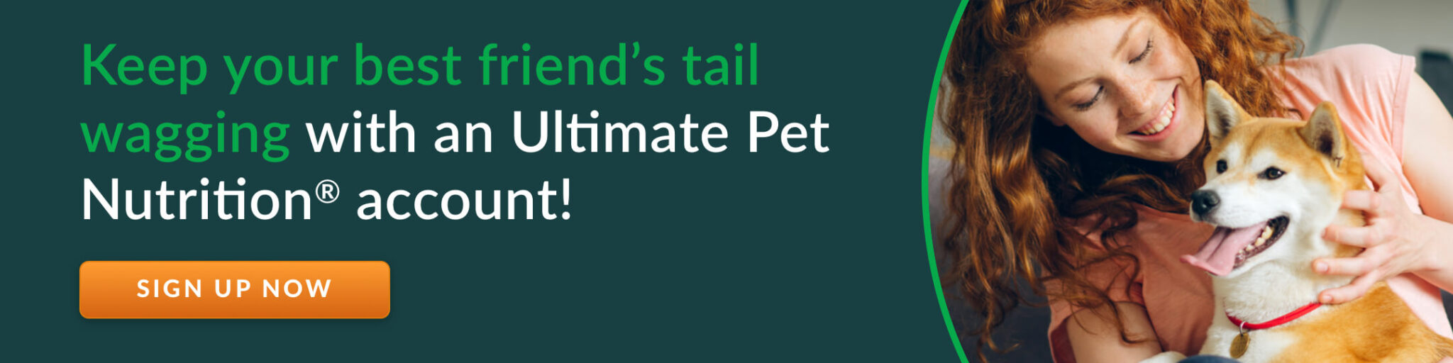 A List Of The 10 Most Energetic Dog Breeds - Ultimate Pet Nutrition