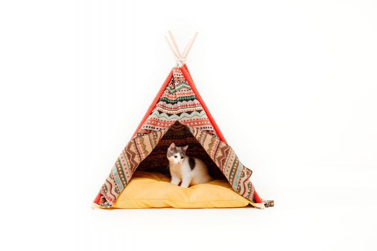 DIY How to Make a Stylish Dog or Cat Teepee Ultimate Pet Nutrition
