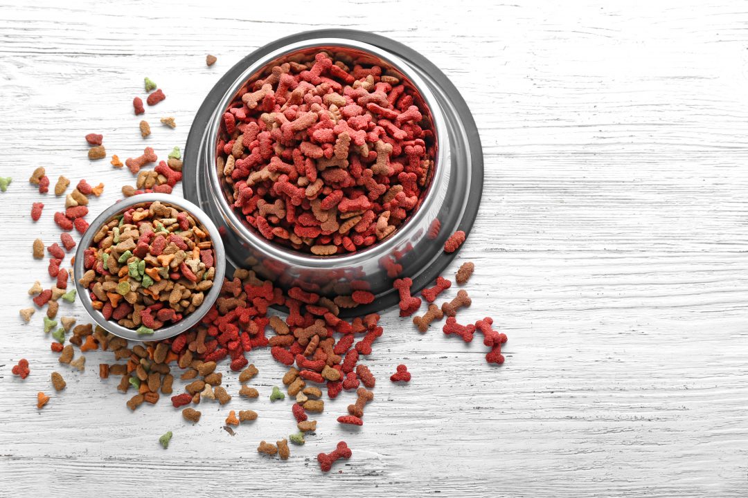Tips For Selecting The Right Dog Food Bowl Ultimate Pet Nutrition