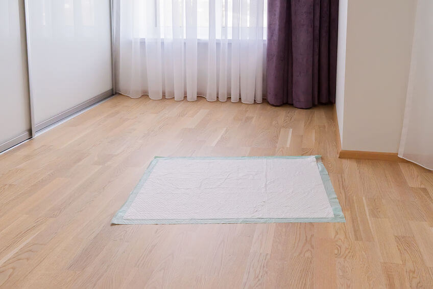 Puppy Pad Training How To Housetrain Your Dog To Use A Potty Pad Or