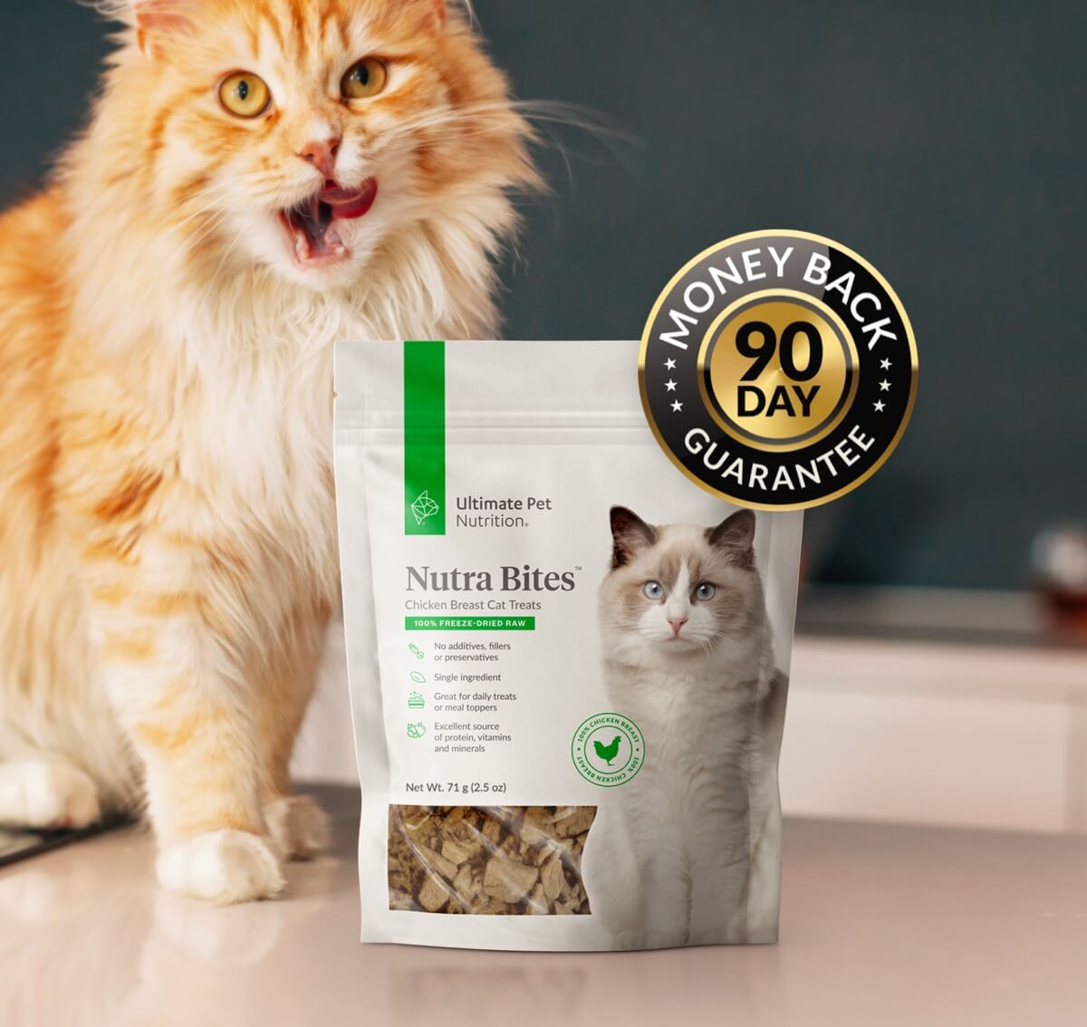Ultimate pet nutrition for cats Clearance