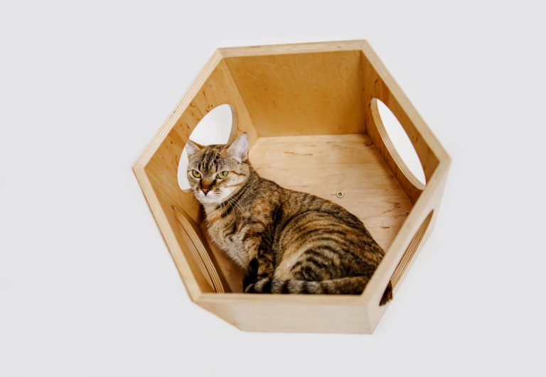 Easy DIY Cat Shelves That You Can Build Today Ultimate Pet Nutrition