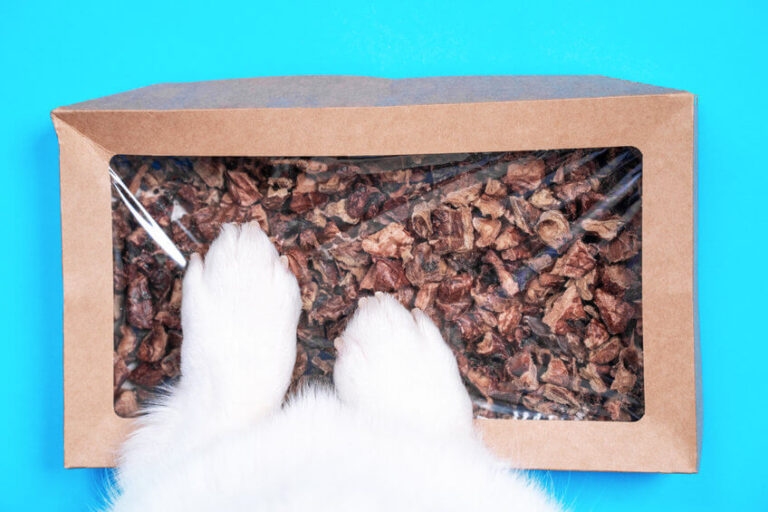 Is Wet Or Dry Food Better For Dogs? Ultimate Pet Nutrition