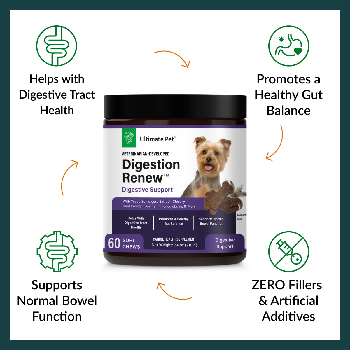 Digestion Renew, Gut & Digestive Supplement, 60 Soft Chews