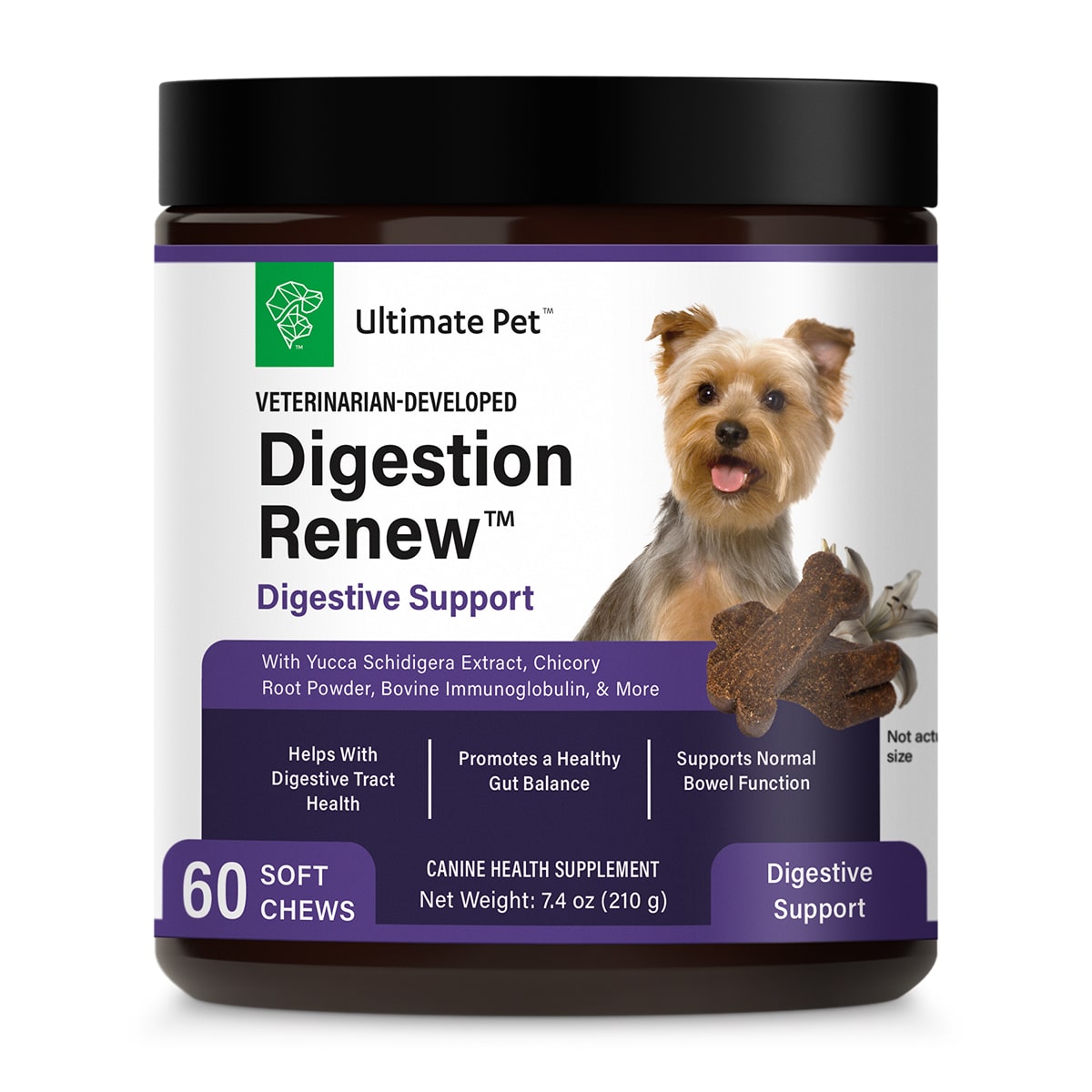Digestion Renew, Gut & Digestive Supplement, 60 Soft Chews