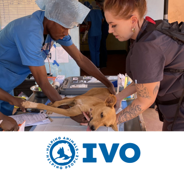 International Veterinary Outreach logo