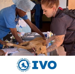 International Veterinary Outreach logo