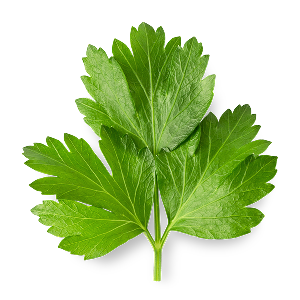 Parsley powder