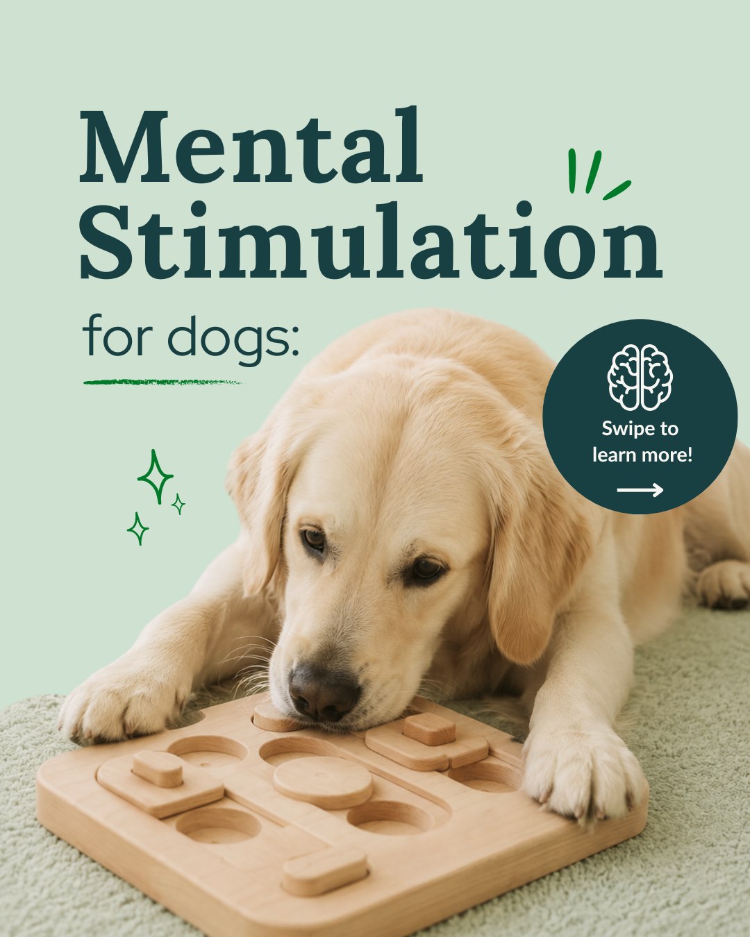 Mental Stimulation for dogs