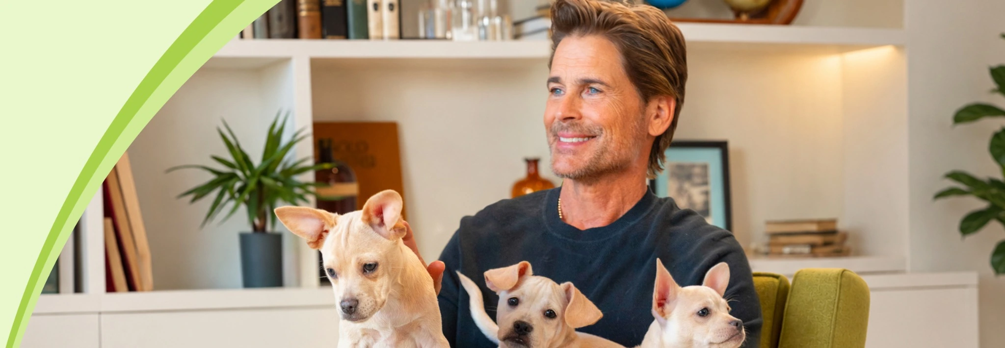 A man sitting with several dogs.